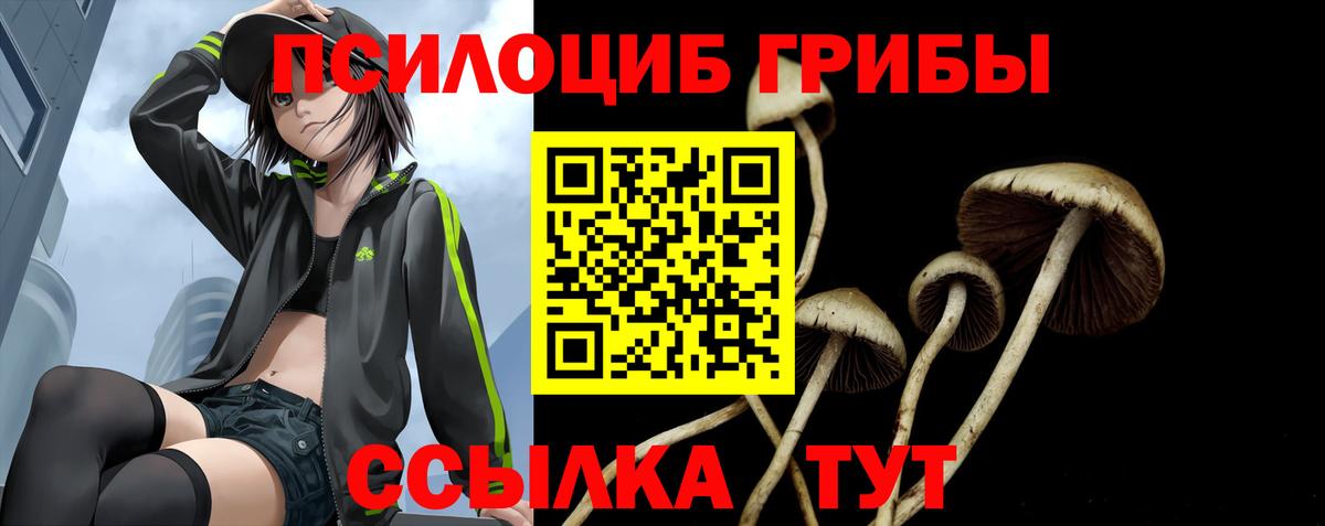 Кубинка  закладки  Галлюциногенные грибы ЛСД  Вход с VPN  Галлюциногенные грибы MAGIC MUSHROOMS 